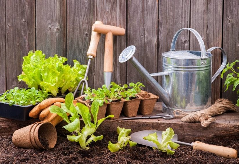 outils jardinage manche en bois