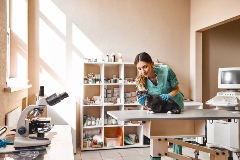 matériel vétérinaire