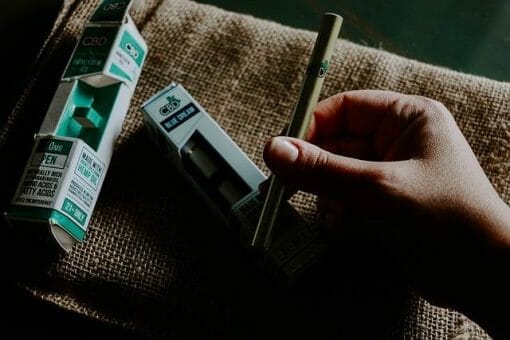 Entreprendre dans l’industrie du CBD : comment se démarquer et faire du business ?