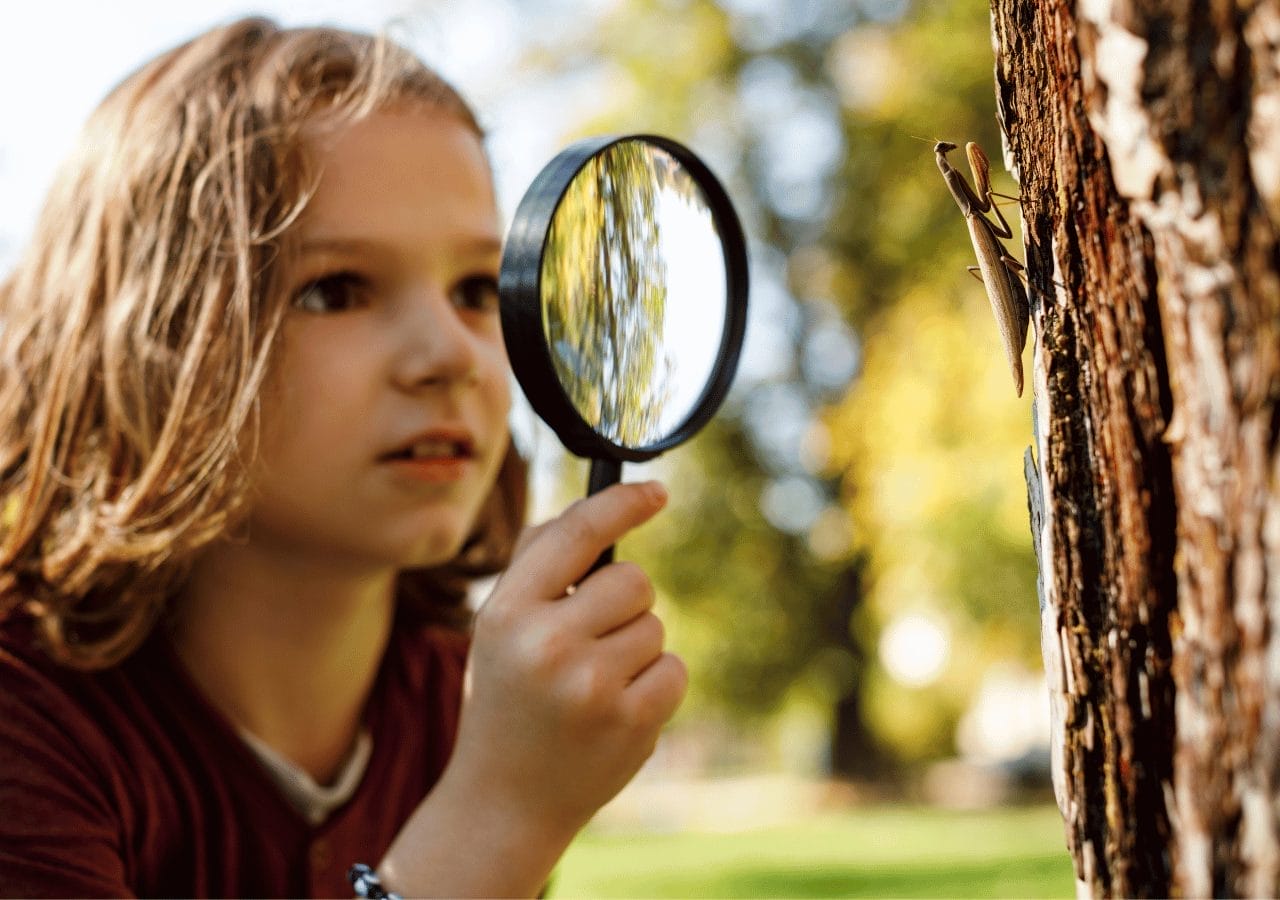 une jeune fille recherche des insectes sur un tronc d'arbre avec une loupe pour mieux comprendre son environnement