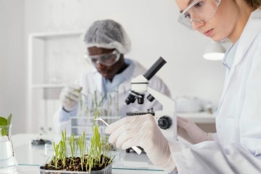 Plongée au cœur des biotechnologies : un parcours d’études prometteur